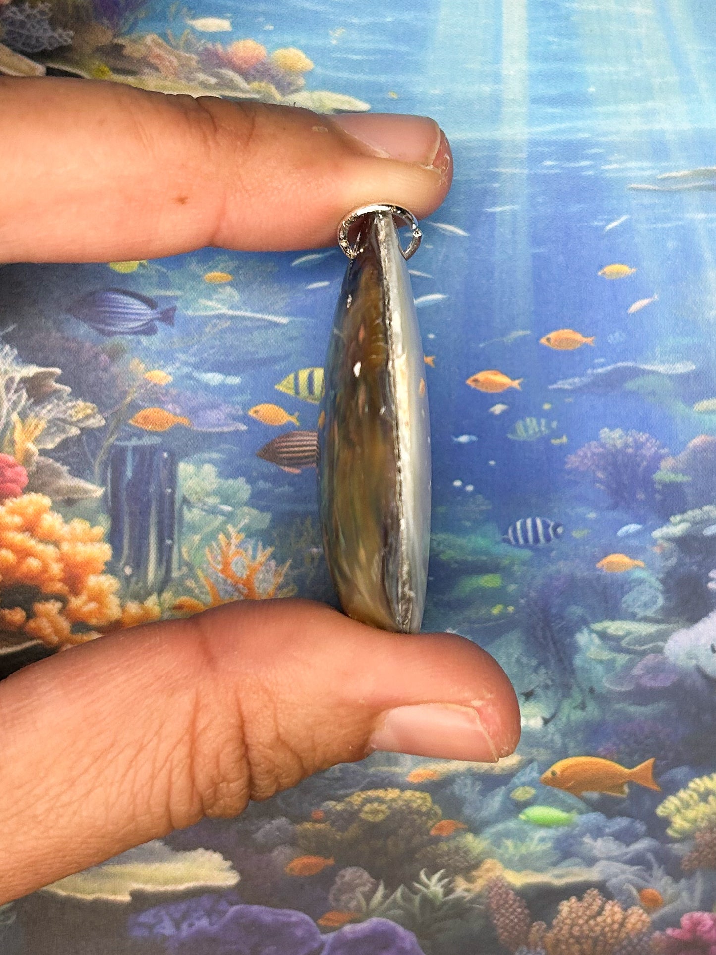 Abalone Pendant AB84