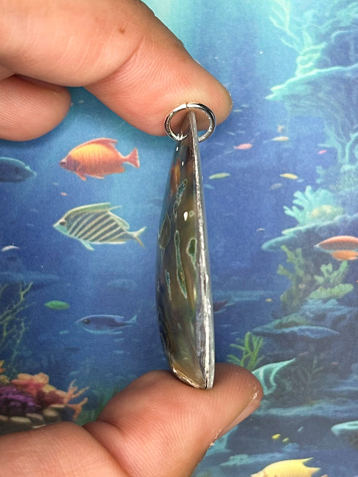 Abalone Pendant AB99