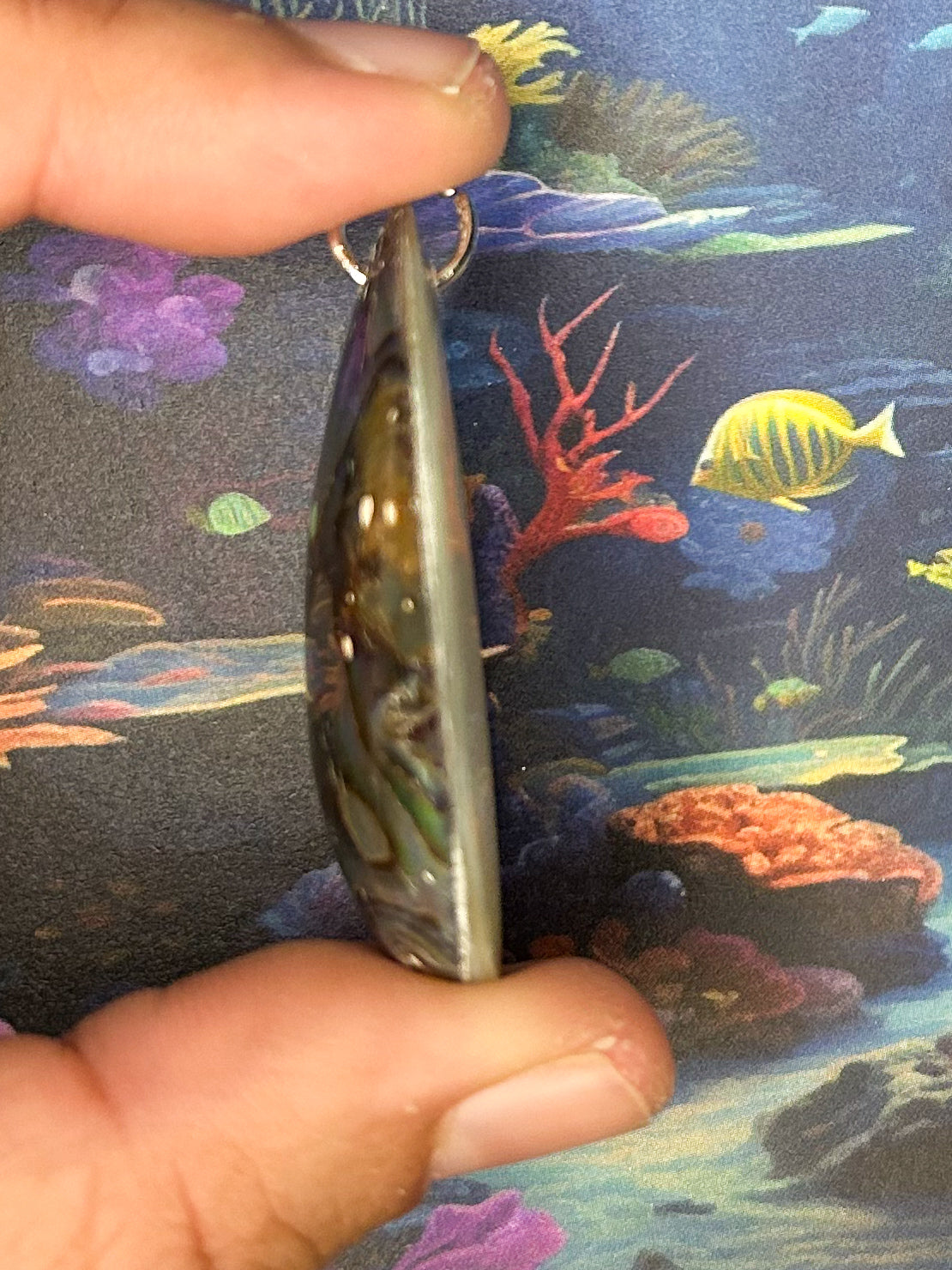 Abalone Pendant AB91