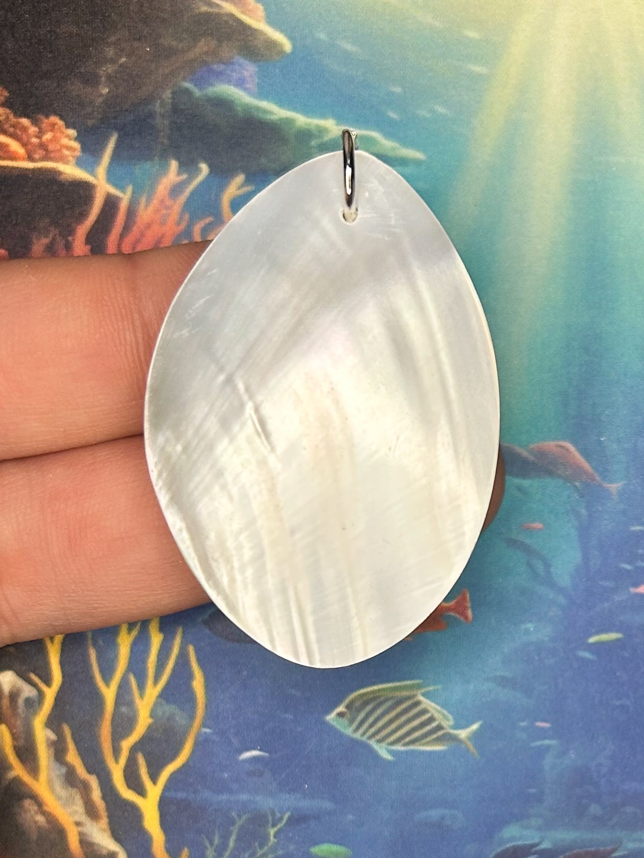 Abalone Pendant AB100