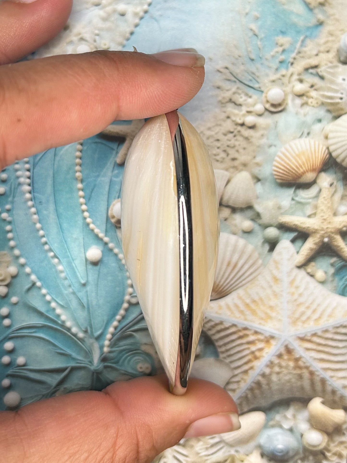 Shell Pendant SH10
