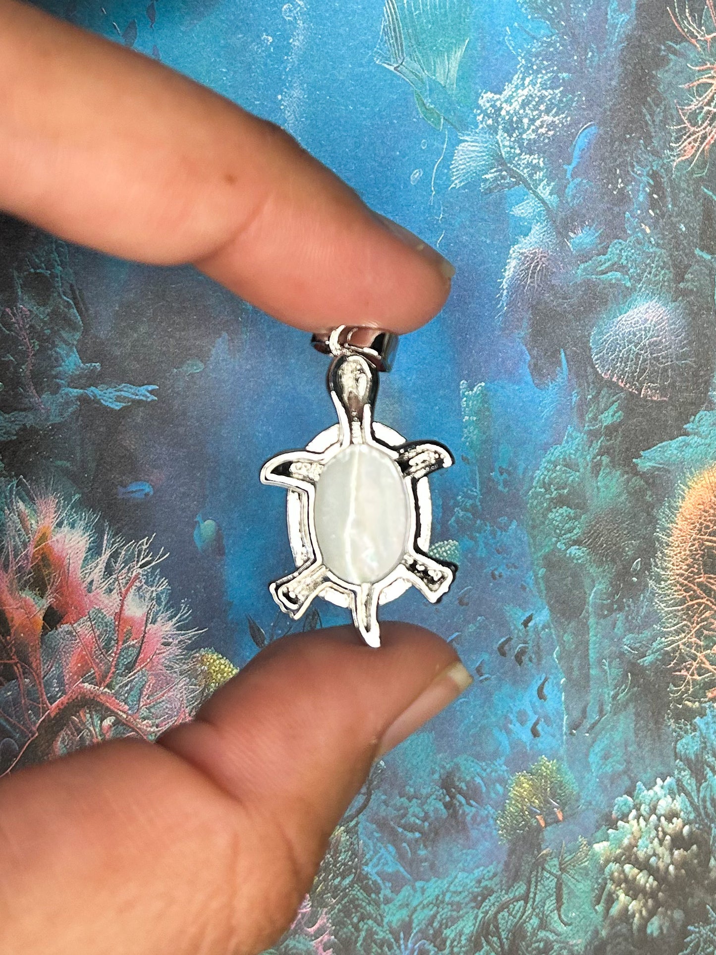 Shell Pendant SH21
