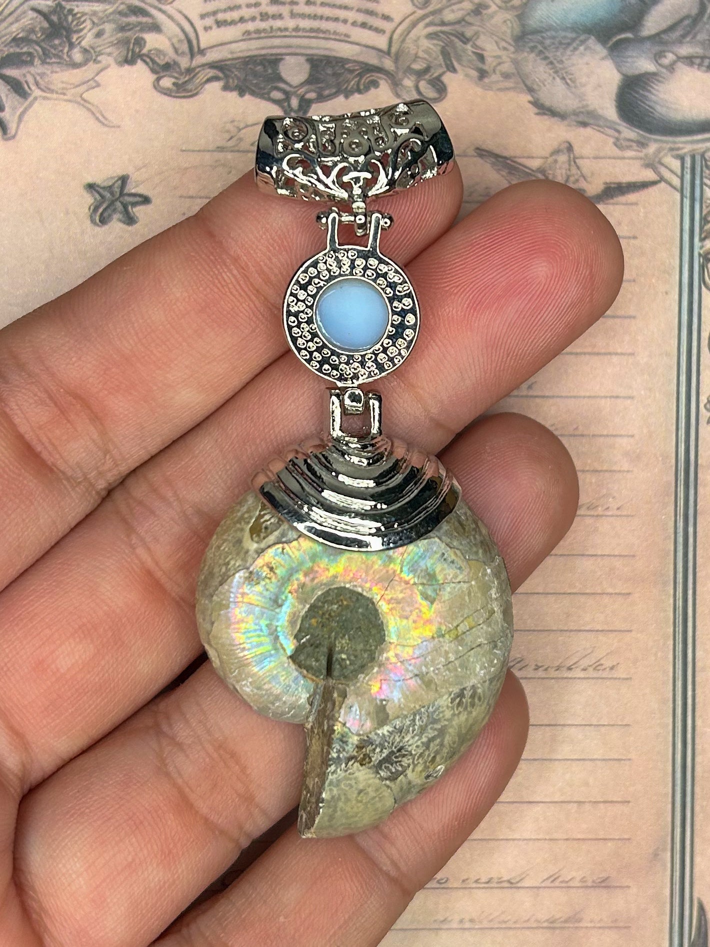 Ammonite Pendant AN16