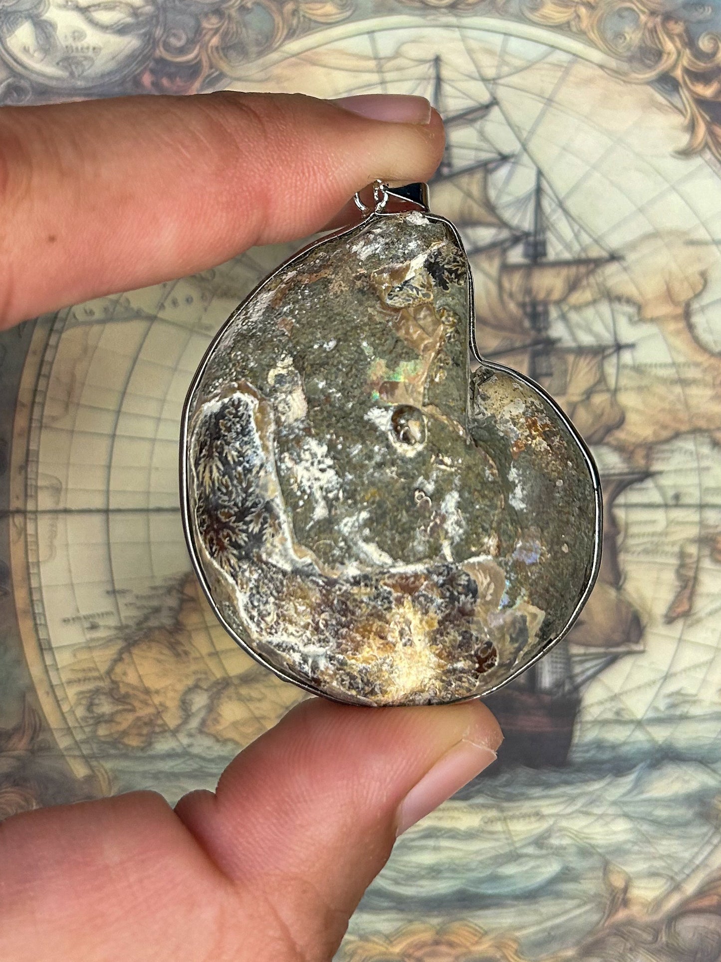 Ammonite Pendant AN05