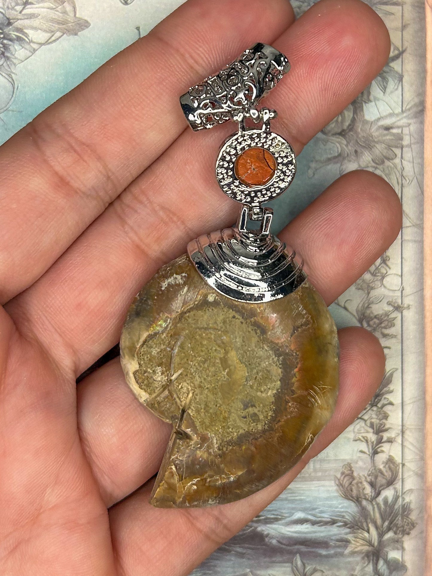 Ammonite Pendant AN12