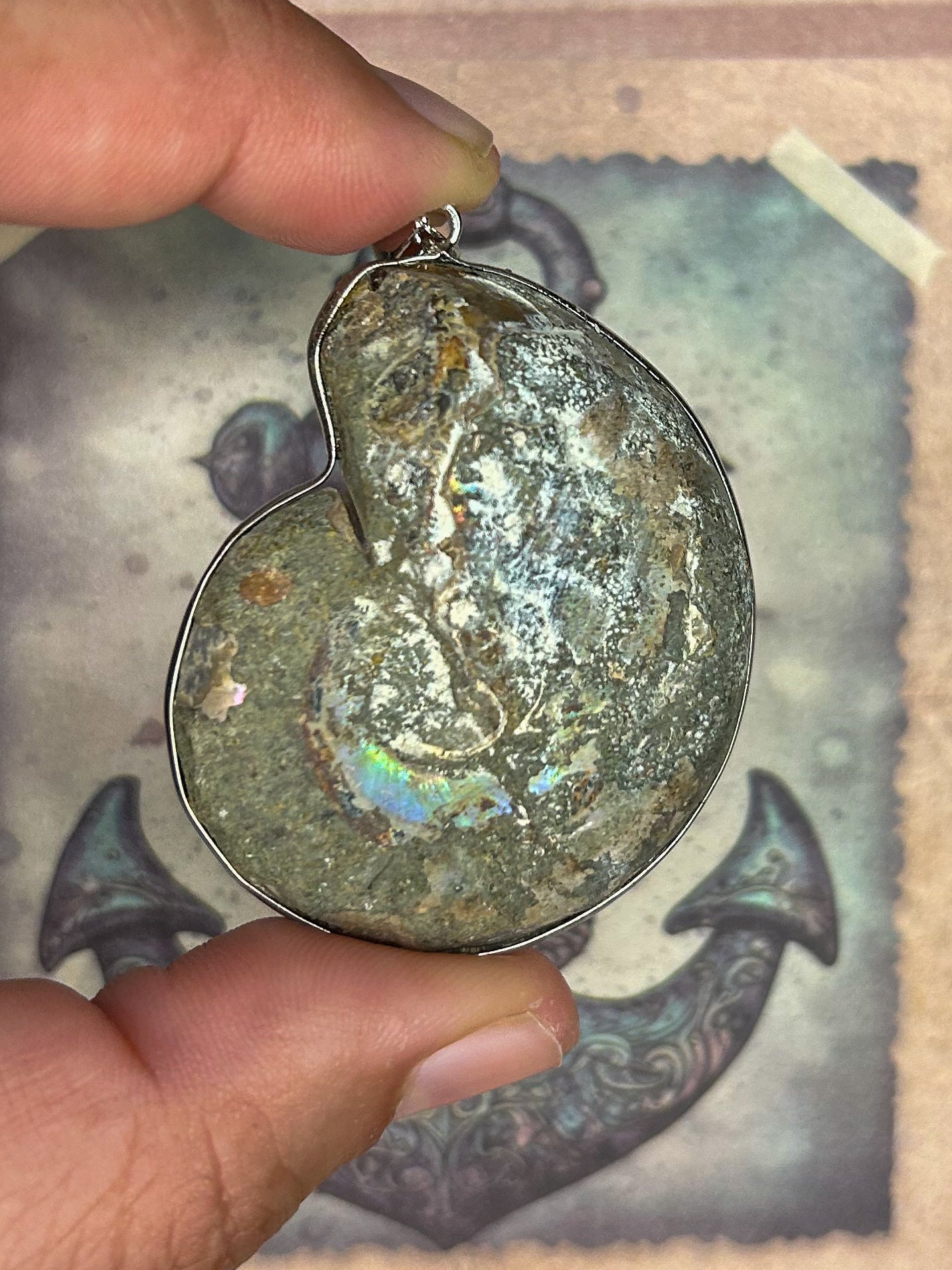 Ammonite Pendant AN03