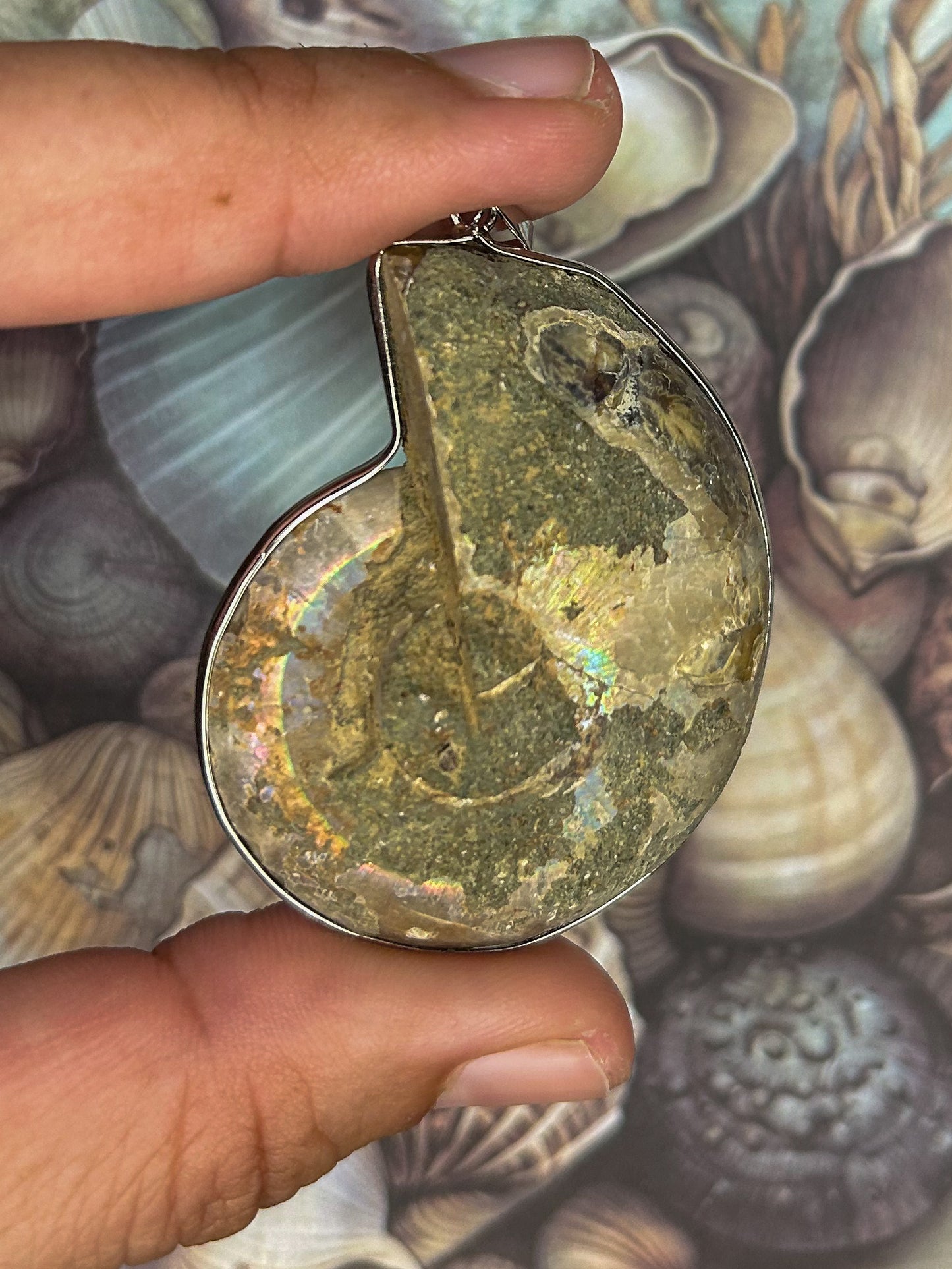 Ammonite Pendant AN06