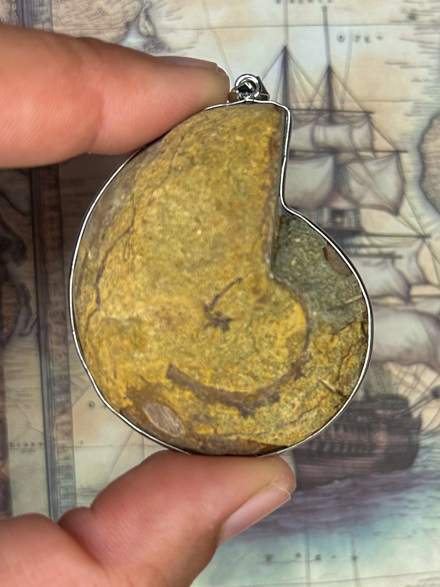 Ammonite Pendant AN08