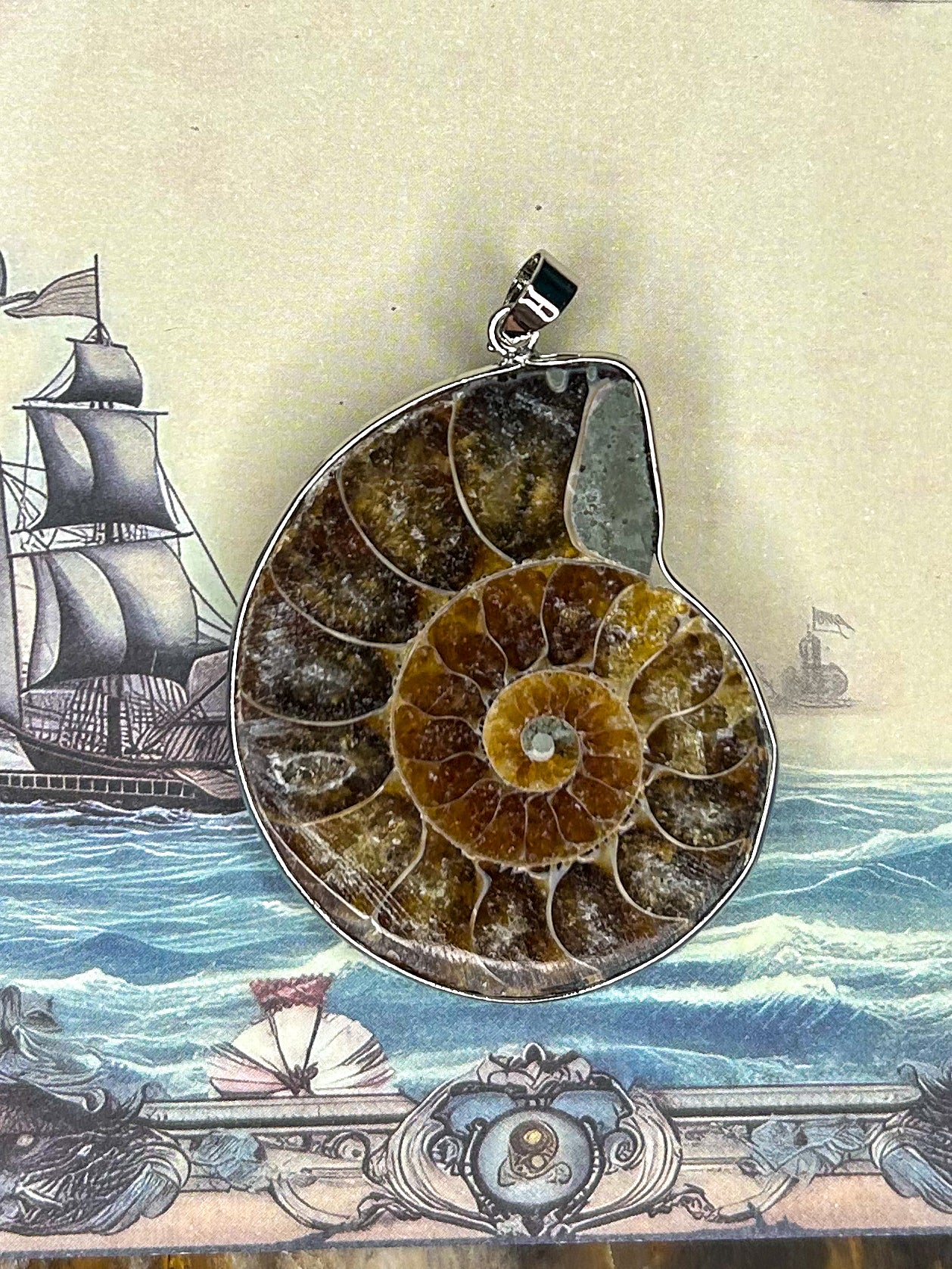 Ammonite Pendant AN01