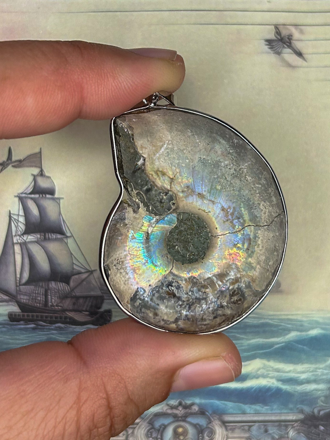 Ammonite Pendant AN01