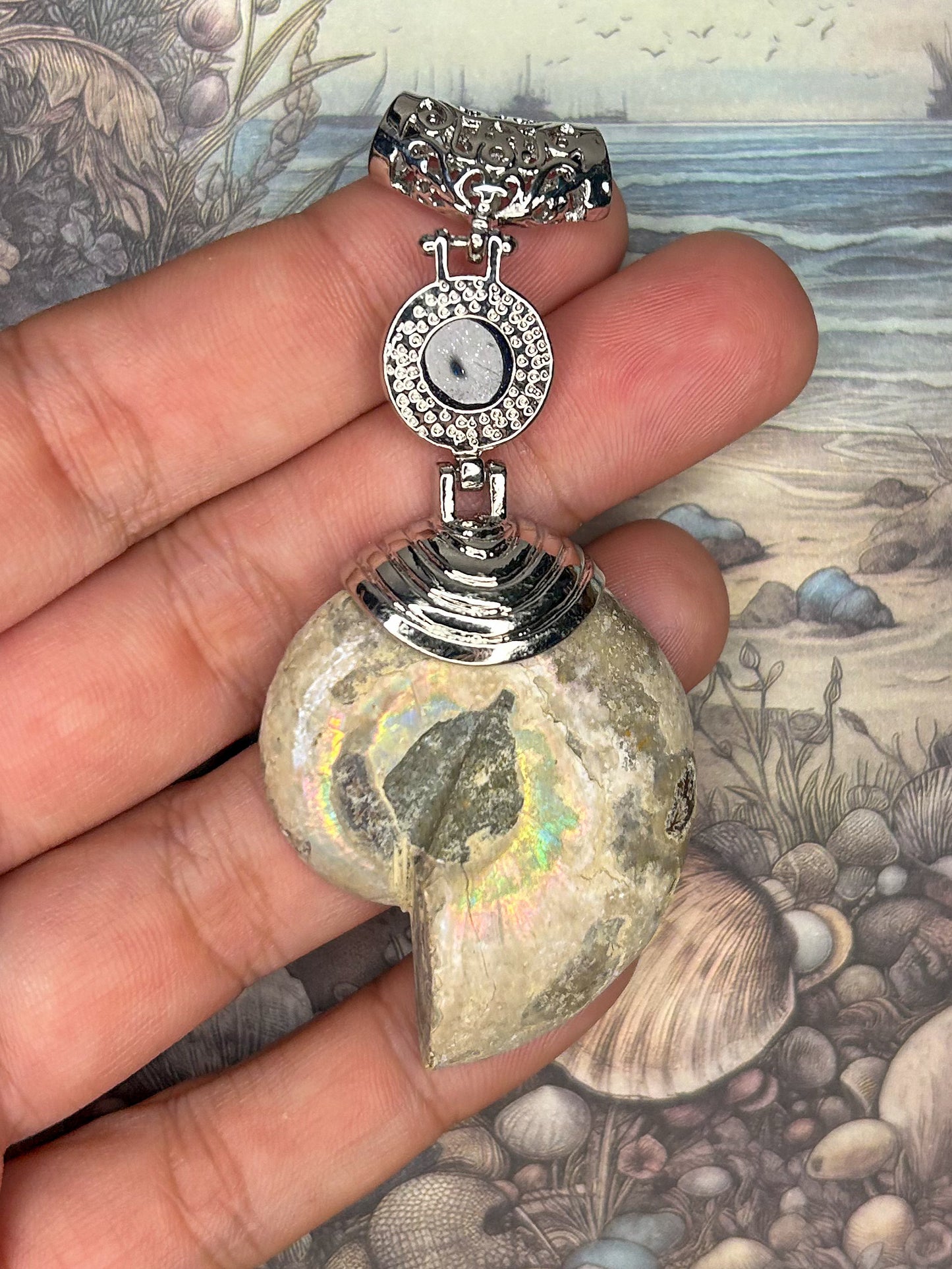 Ammonite Pendant AN17