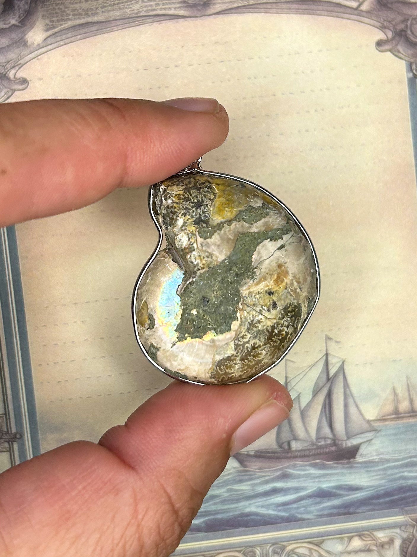 Ammonite Pendant AN04