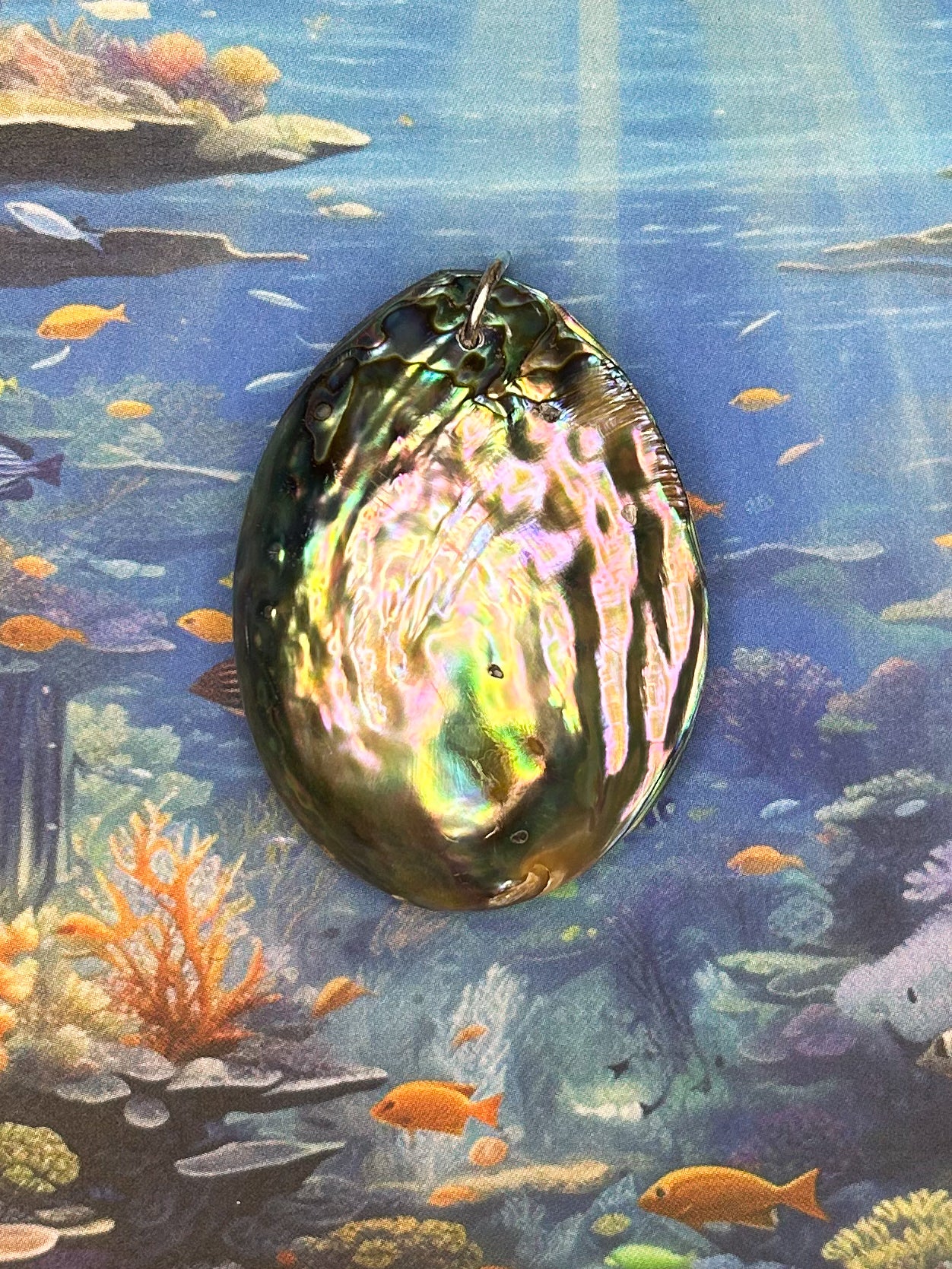 Abalone Pendant AB84