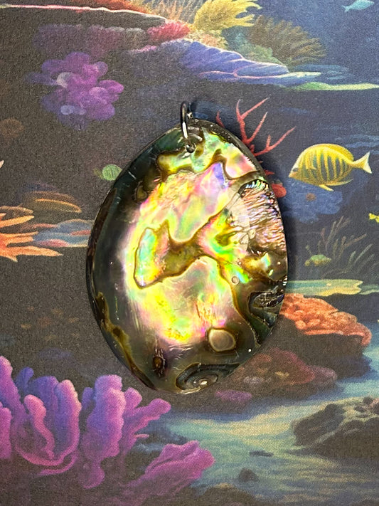Abalone Pendant AB91