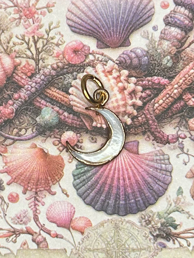 Shell Charm Pendant 1SH17