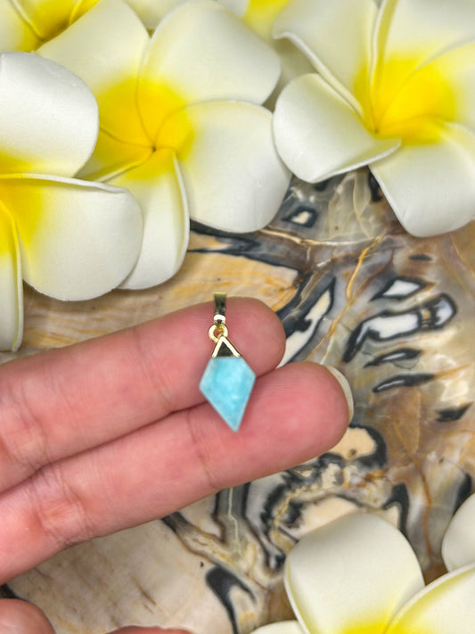 Amazonite Pendant AZ10