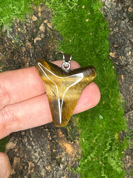 Tiger’s Eye Pendant TG26