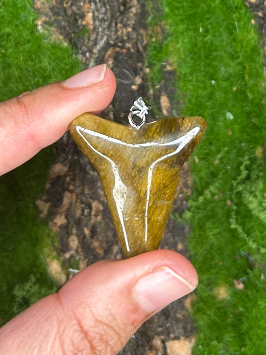 Tiger’s Eye Pendant TG33