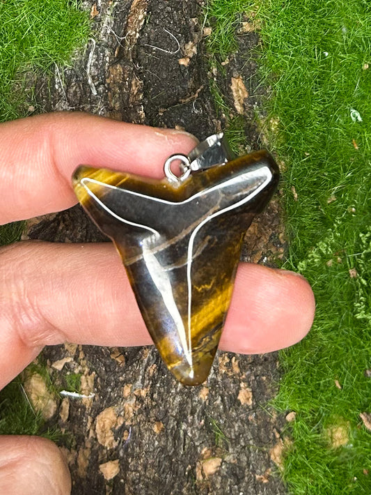 Tiger’s Eye Pendant TG28