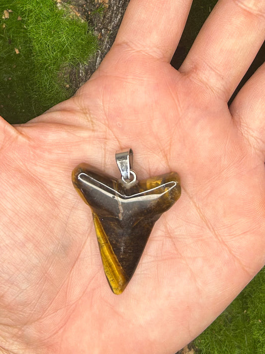 Tiger’s Eye Pendant TG41