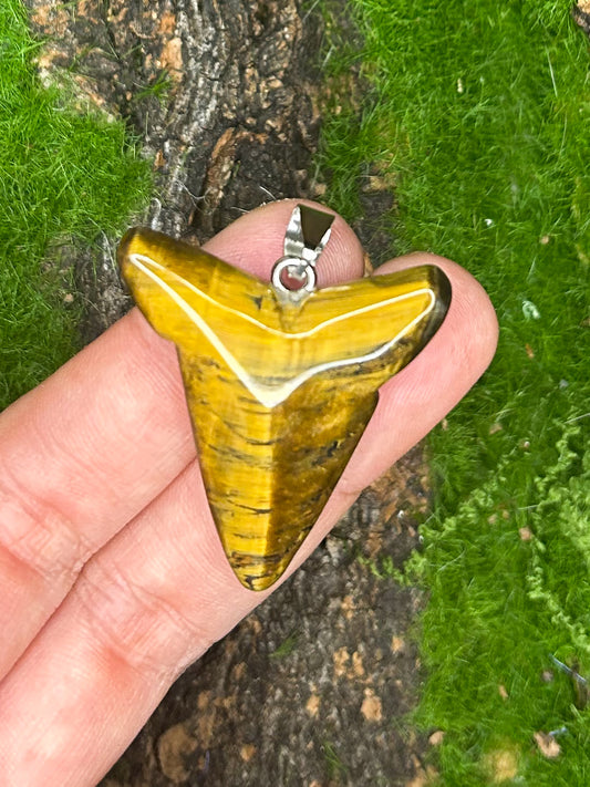 Tiger’s Eye Pendant TG31