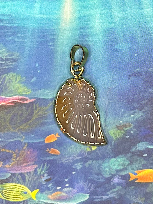 Agate Slice Pendant AS58