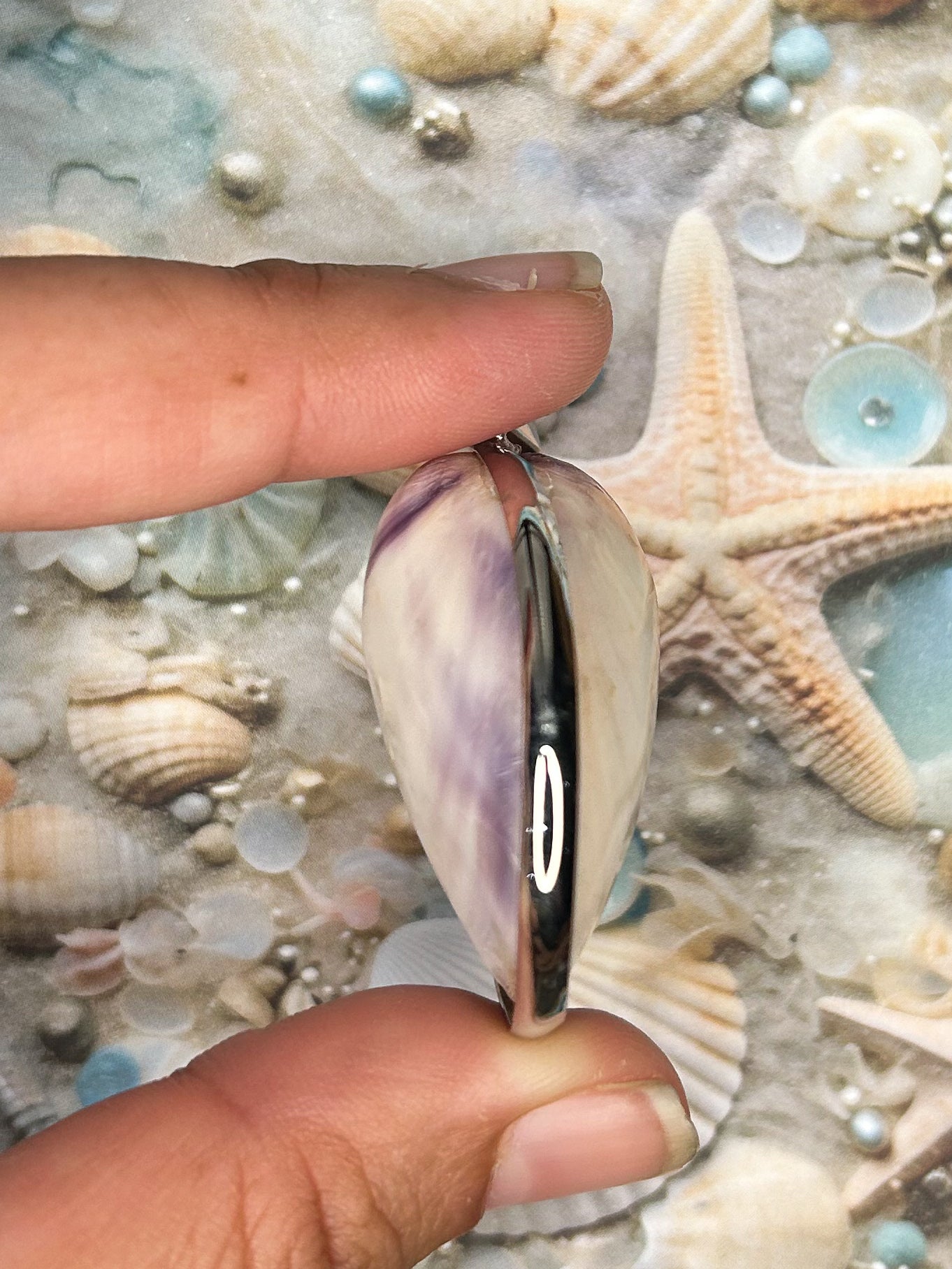 Shell Pendant SH05