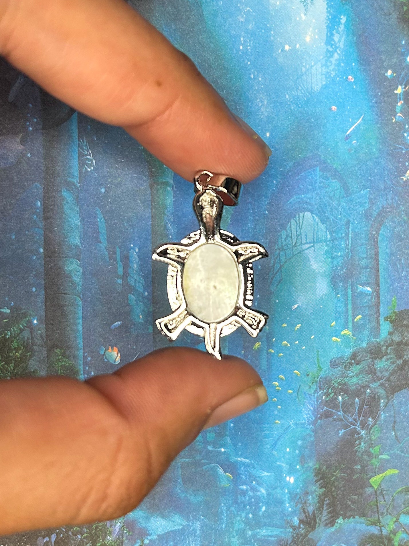 Shell Pendant SH14
