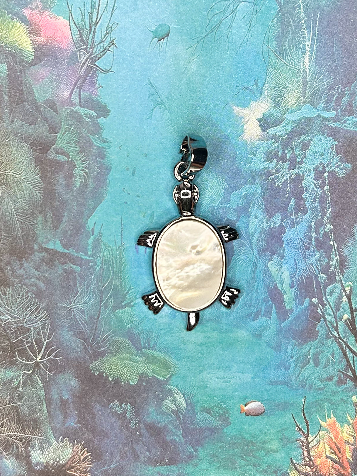 Shell Pendant SH13