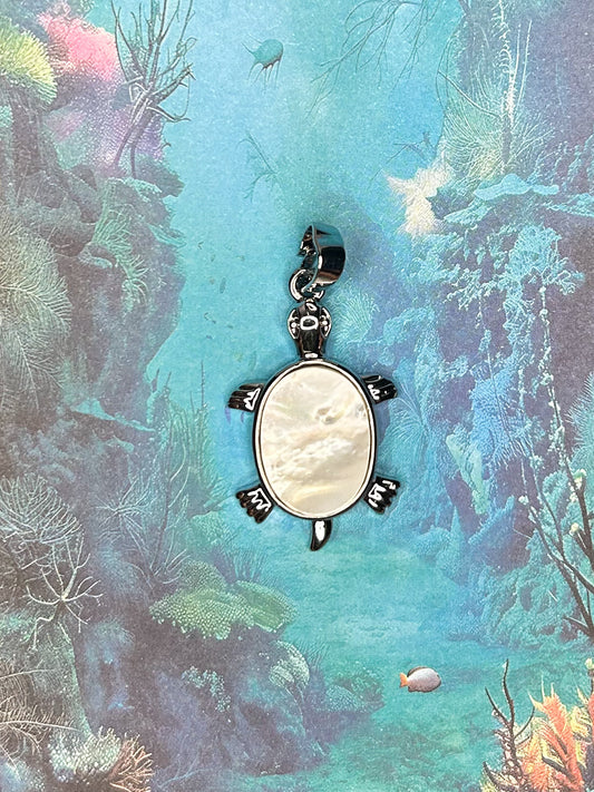 Shell Pendant SH13