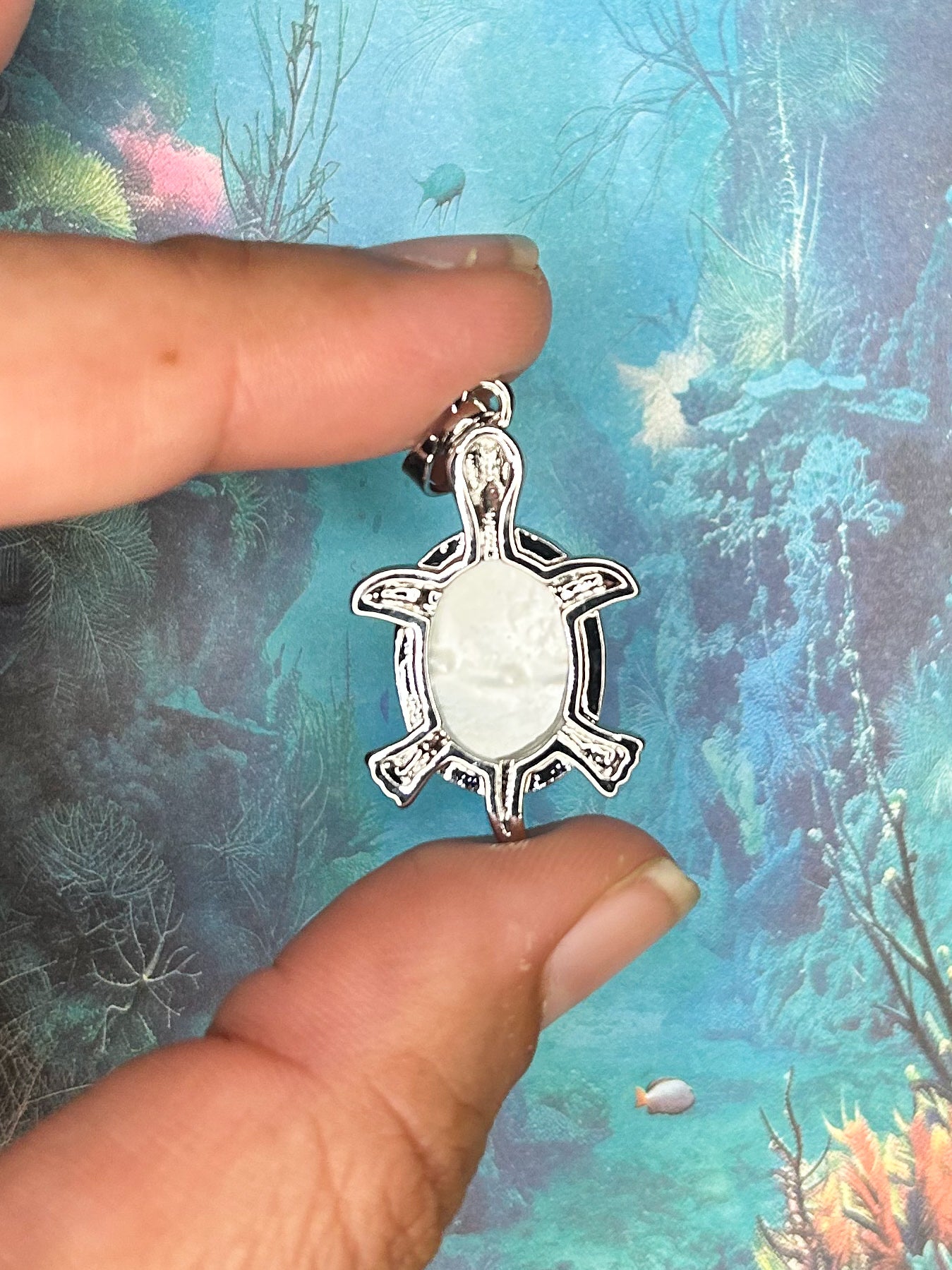 Shell Pendant SH13