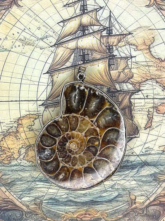 Ammonite Pendant AN05