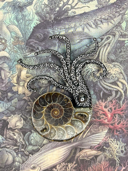 Ammonite Pendant AN22