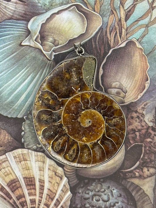 Ammonite Pendant AN06