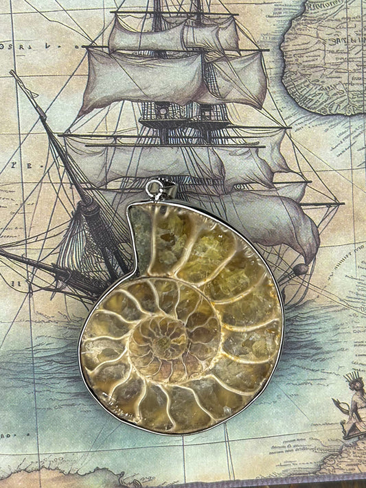 Ammonite Pendant AN08