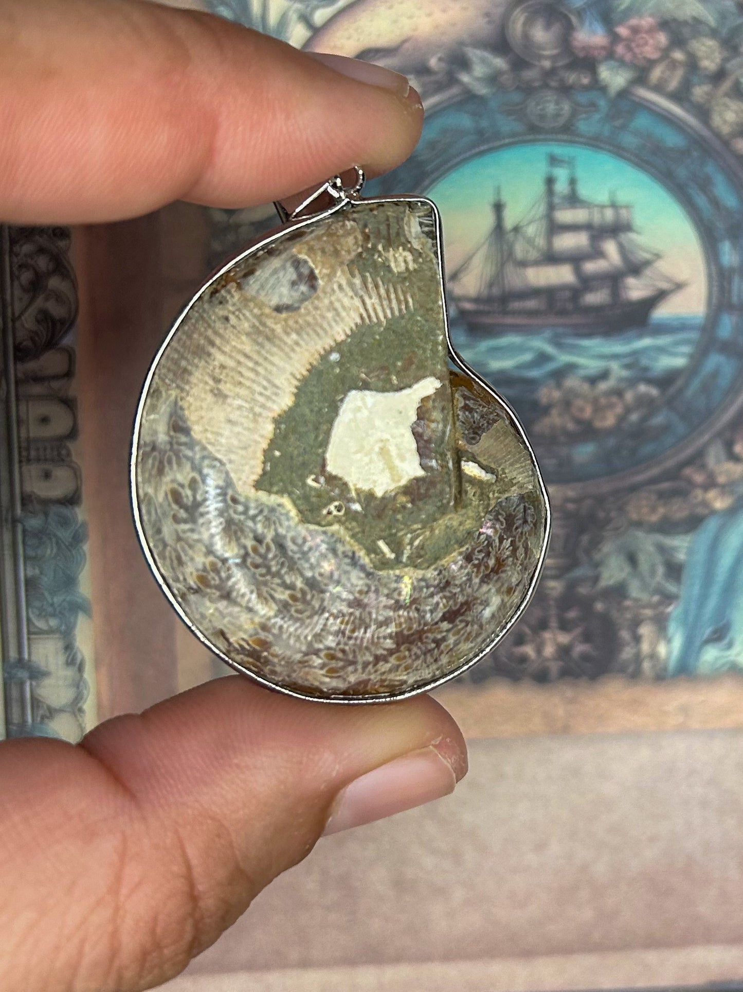 Ammonite Pendant AN02