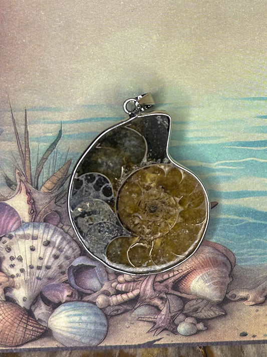 Ammonite Pendant AN10