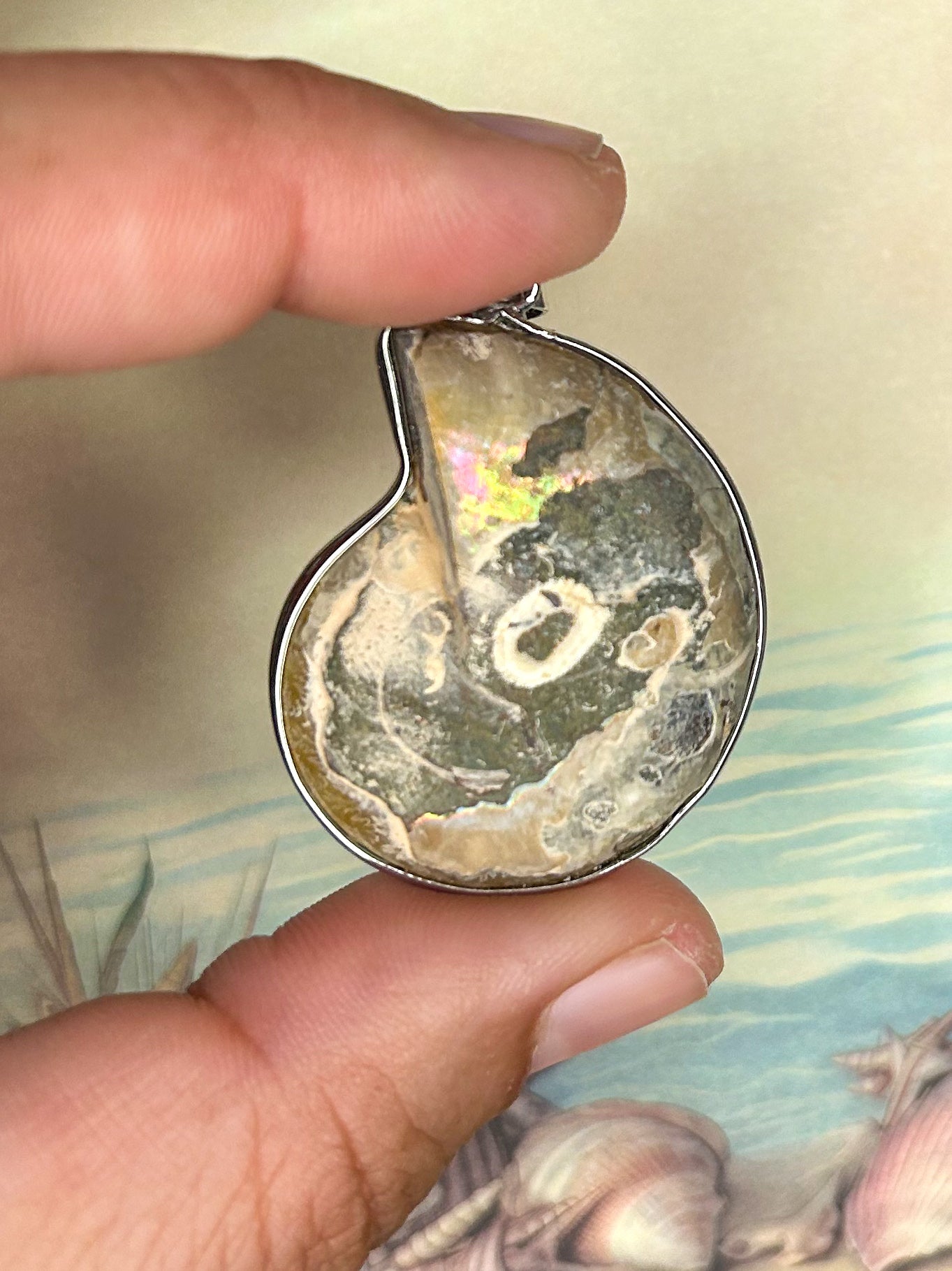 Ammonite Pendant AN10