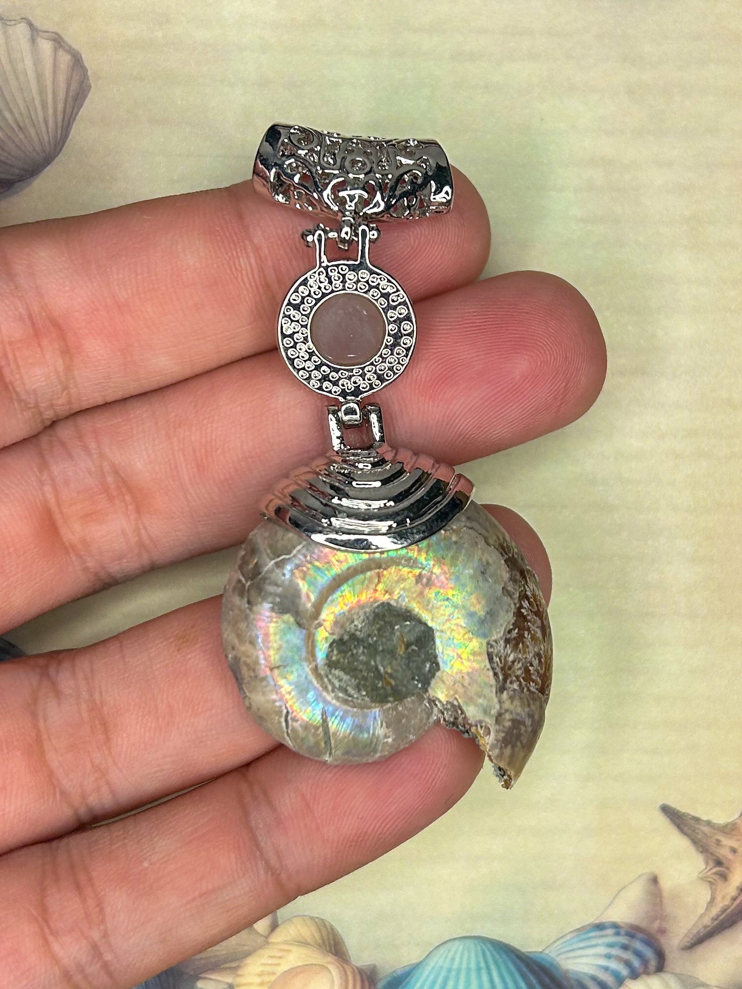 Ammonite Pendant AN11