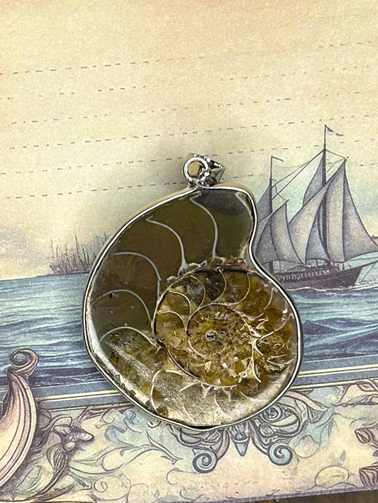Ammonite Pendant AN04